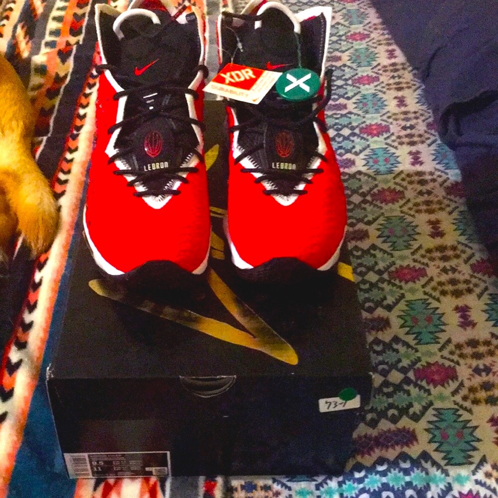 Nike uptempo #17 lebron James  size 9.5 sale!!! 1 day sale ends Sunday